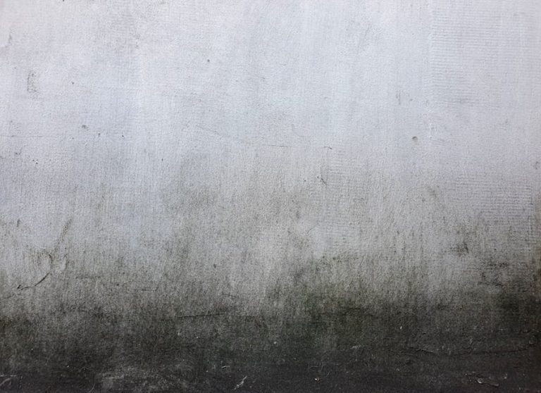 Combien de sacs de ciment pour 1 m³ de béton : le guide ultime pour 2025